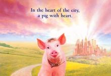 小猪宝贝2:小猪进城 1998澳大利亚喜剧 HD1080P 迅雷下载-沐风文化