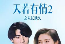 1993香港动作《天若有情2之天长地久》HD1080P.迅雷下载-沐风文化