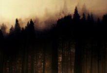 2022《联邦调查局：通缉要犯第四季》美国犯罪历史 更新至第22集/共22集 迅雷磁力网盘下载-沐风文化