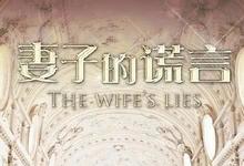 2015国剧《妻子的谎言》全集 HD1080P 迅雷下载-沐风文化