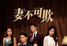 2023国剧《妻不可欺》全集 HD1080P 迅雷下载-沐风文化