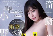 FLNS-414 欢迎回来!魅惑御姐系女优“小野夕子”禁欲300天奇迹复活……-沐风文化