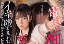 MIDV-185 电车痴汉集团以多对一，清纯学生妹「宫下玲奈」被插到哀嚎堕落！-沐风文化